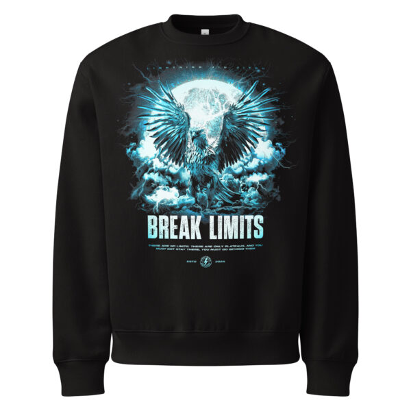 Storm Bird Lightning Jiu-Jitsu - Oversized Premium Sweater