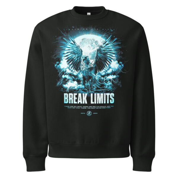 Storm Bird Lightning Jiu-Jitsu - Oversized Premium Sweater - Image 2